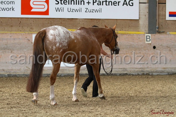 24-ApHC HIH_082.jpg